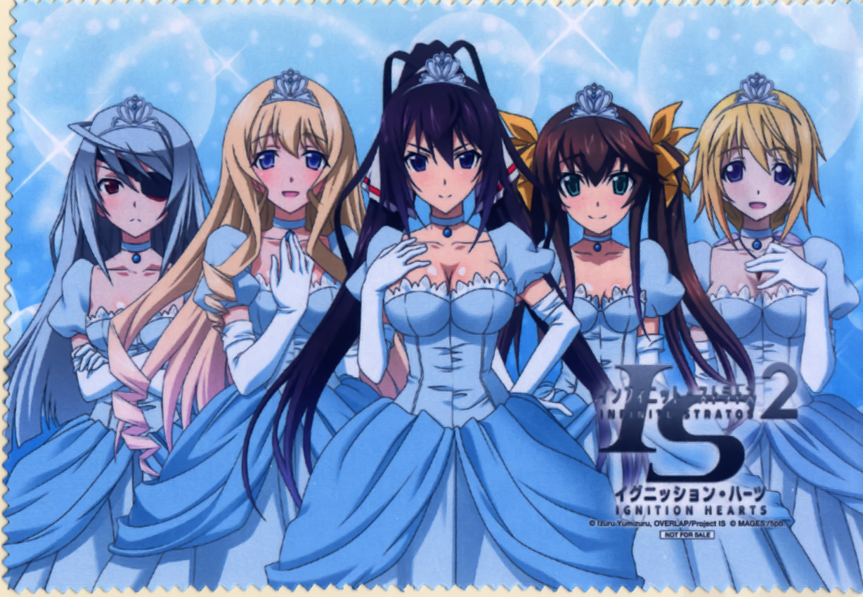 Infinite Stratos Afterword